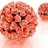 HPV tedavisi