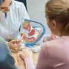 İnfertilite (Kısırlık) ve Histeroskopi