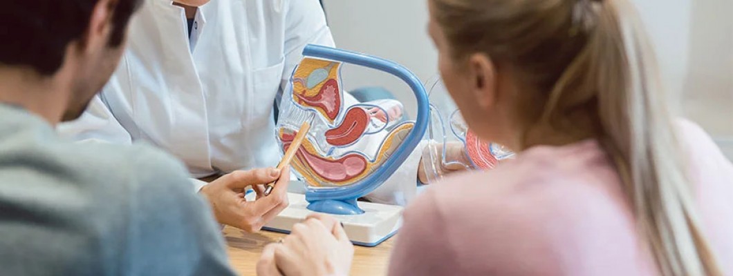 İnfertilite (Kısırlık) ve Histeroskopi