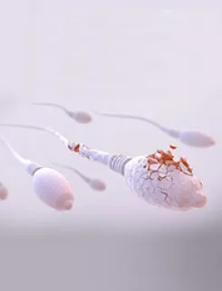 İnfertilite ve Tüp Bebek Tedavileri